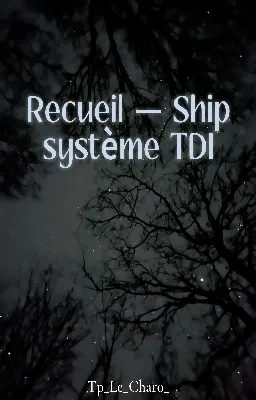 Recueil — Ship | Système TDI