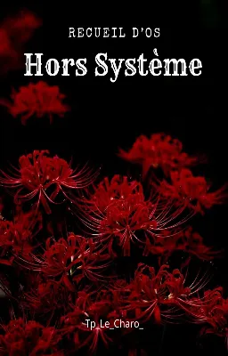 Recueil d’OS | Hors Système TDI