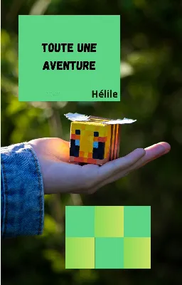 Toute une aventure