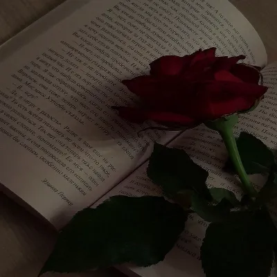 Dorine_autrice